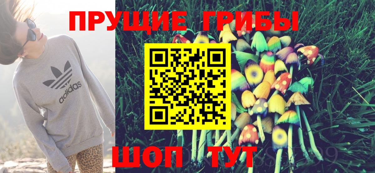Псилоцибиновые грибы Cubensis Ангарск